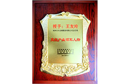 文化產(chǎn)業(yè)領軍人物